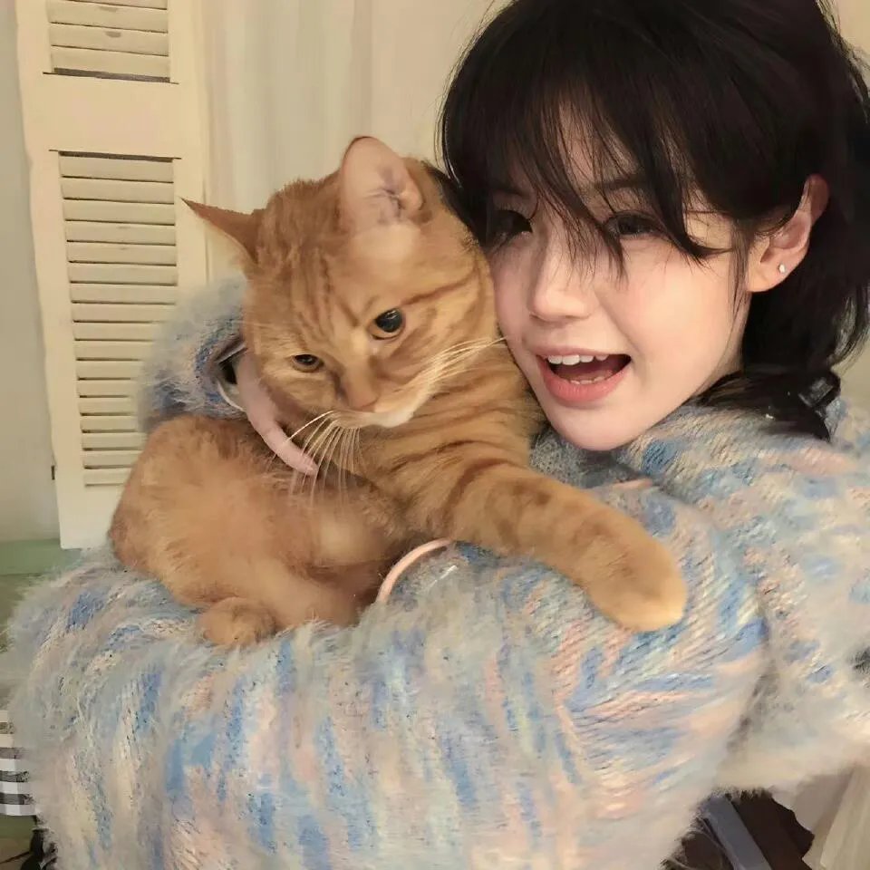 月亮与蛋糕第二季